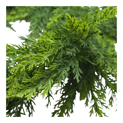 Pine Greenery Garland