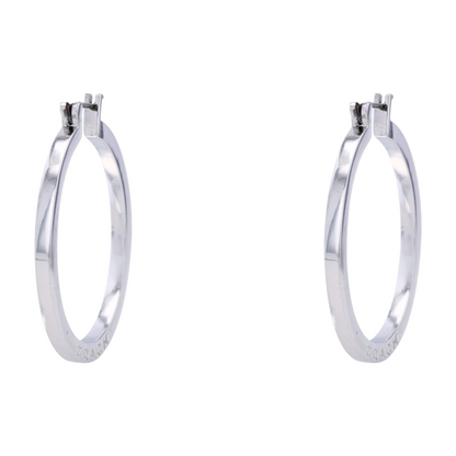 Costume Hoop Earrings