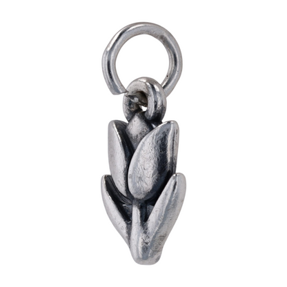 Sterling Silver Charm