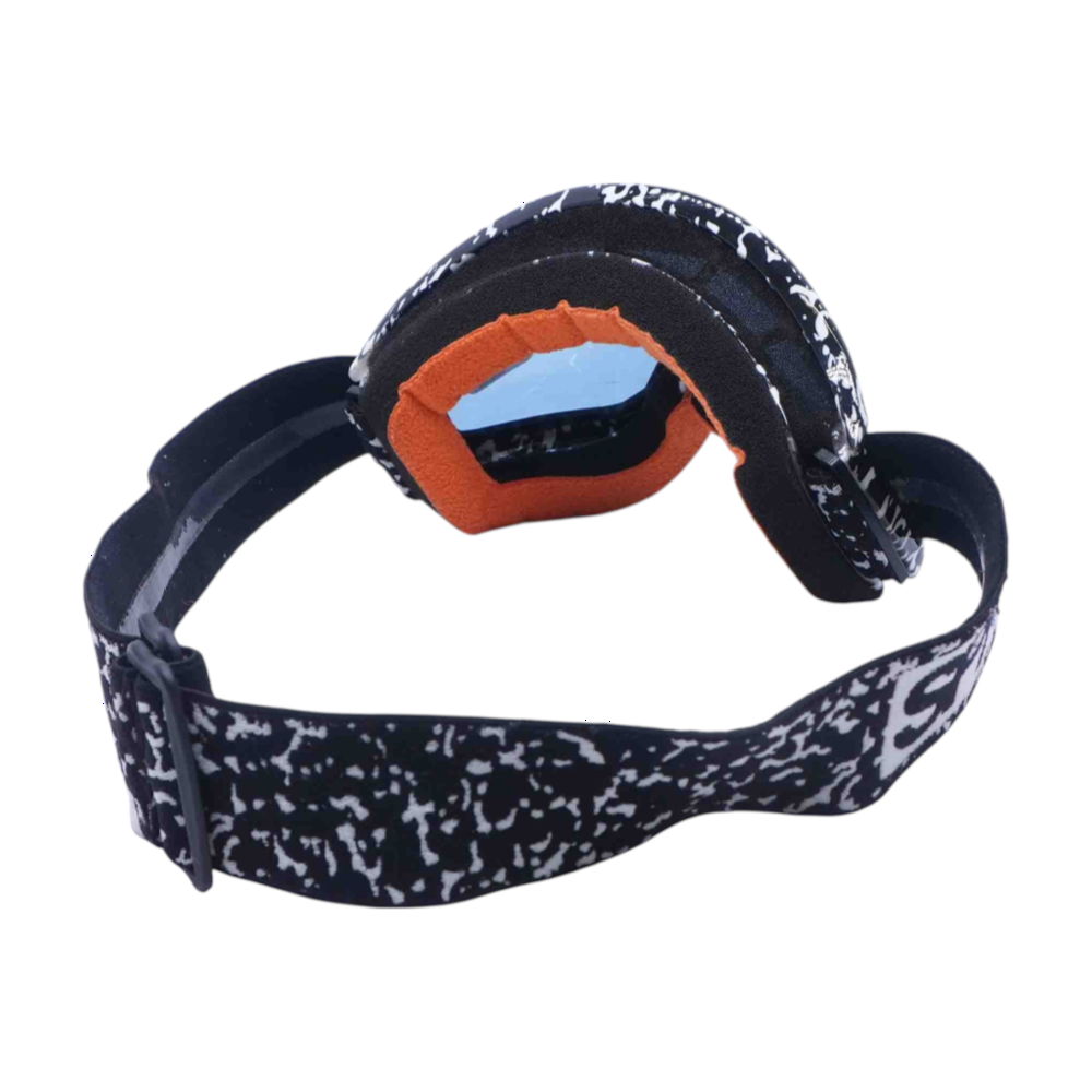 Ski Goggles