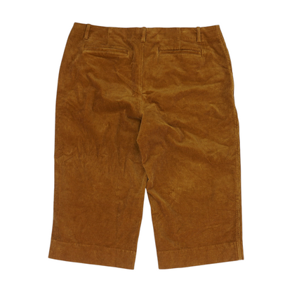 Brown Plus Regular Pants