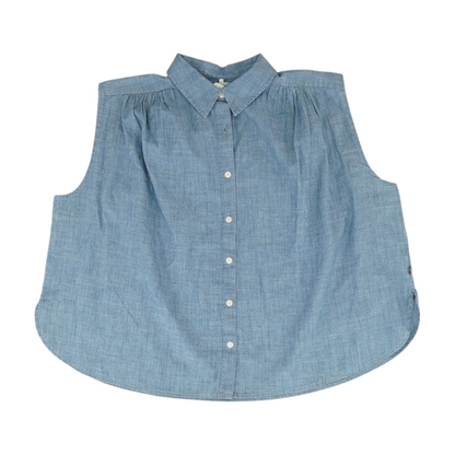 Blue Blouse