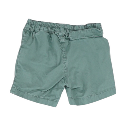 Green Chino Shorts