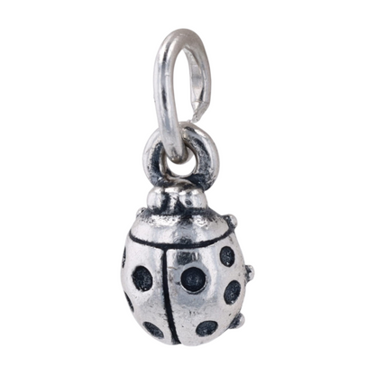 Sterling Silver Charm
