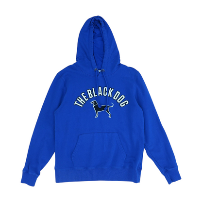 Blue Solid Hoodie Pullover