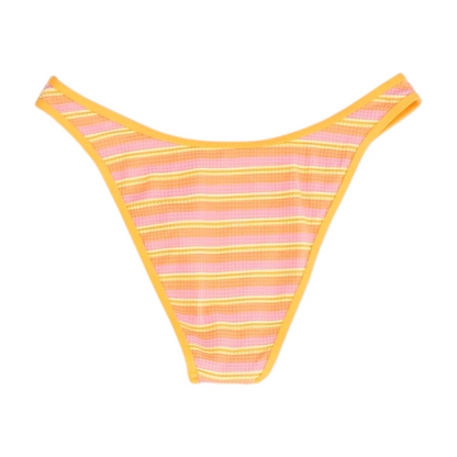 Multi Striped Swim Bottom