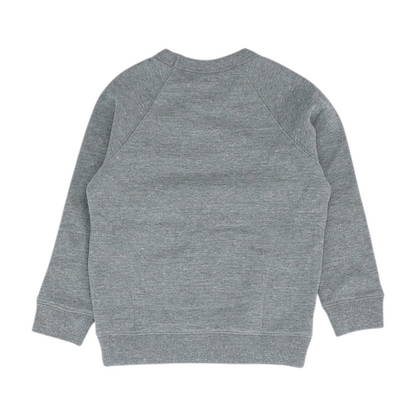 Gray Sweatshirt Pullover