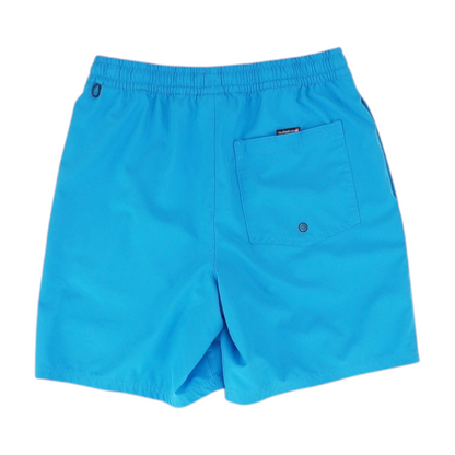 Blue Swim Bottom