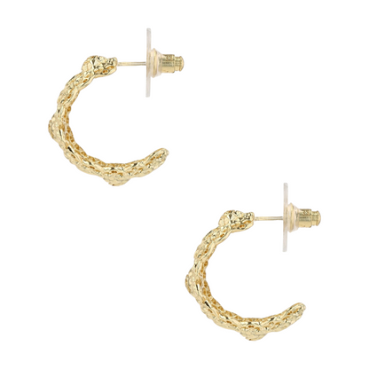 Costume Hoop Earrings