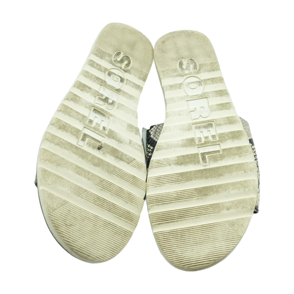 Black Sandals
