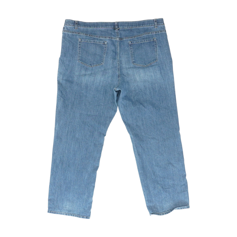 Blue Plus Regular Jeans