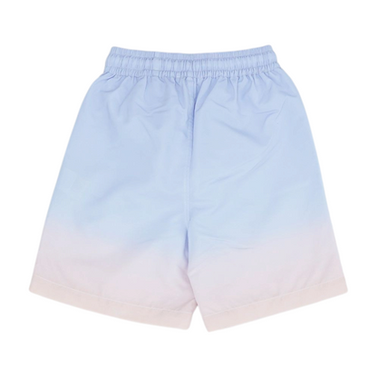 Purple Ombre Swim Bottom