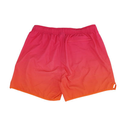 Pink Ombre Swim Bottom