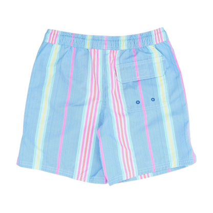 Multi Striped Swim Bottom