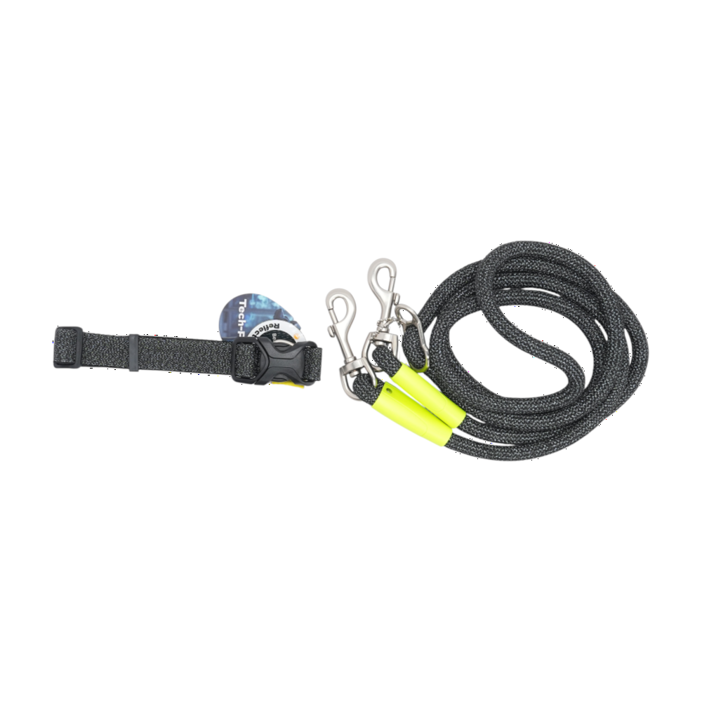 Gray Dog Collar & Leash