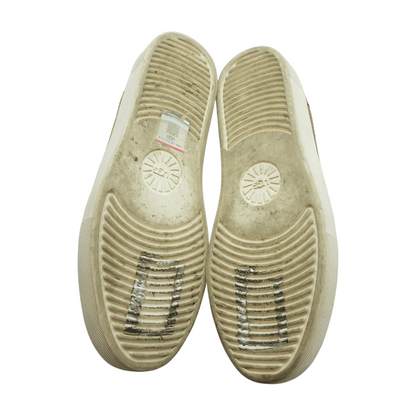 Brown Flats