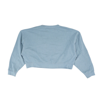 Blue Solid Sweatshirt Pullover