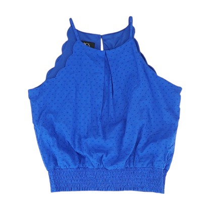 Blue Blouse