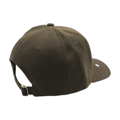 Brown Cleveland Browns Ballcap Hat