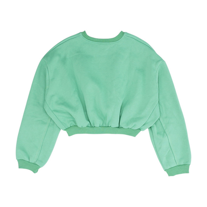 Green Solid Sweatshirt Pullover