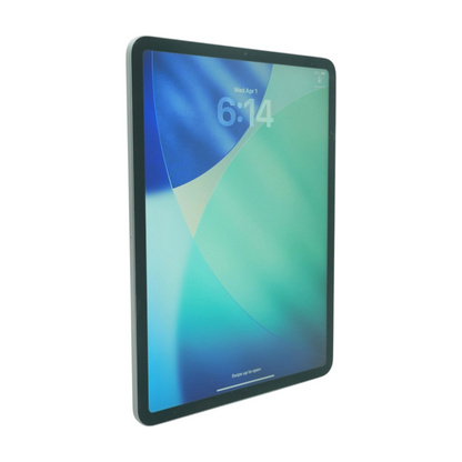 iPad Pro 11.0" Space Gray 1st 256GB WiFi Tablet