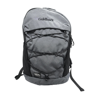 Gray Backpack