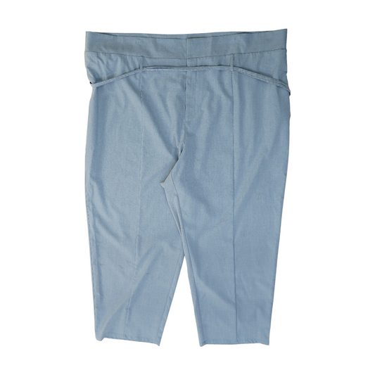 Blue Plus Regular Pants