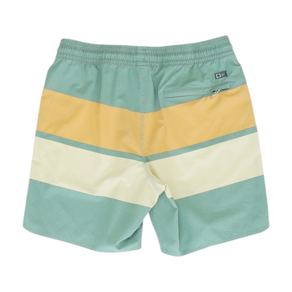 Green Color Block Swim Bottom