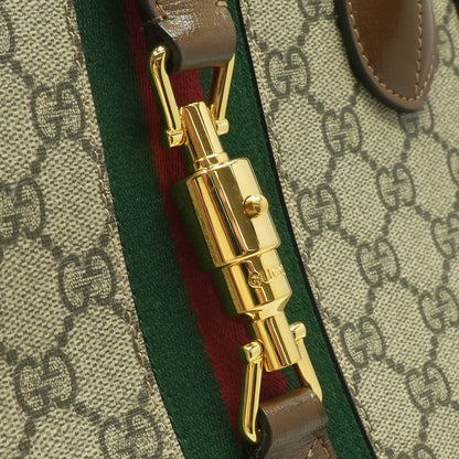 Brown Handbag