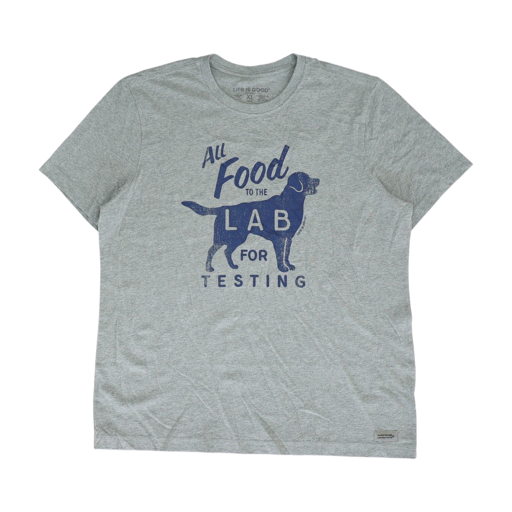 Gray Solid T-Shirt