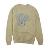 Beige Solid Sweatshirt Pullover