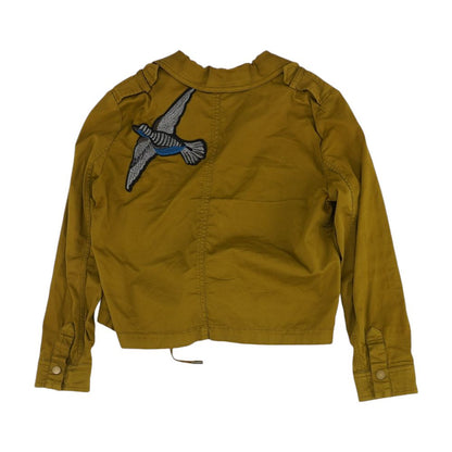 Green Solid Jacket