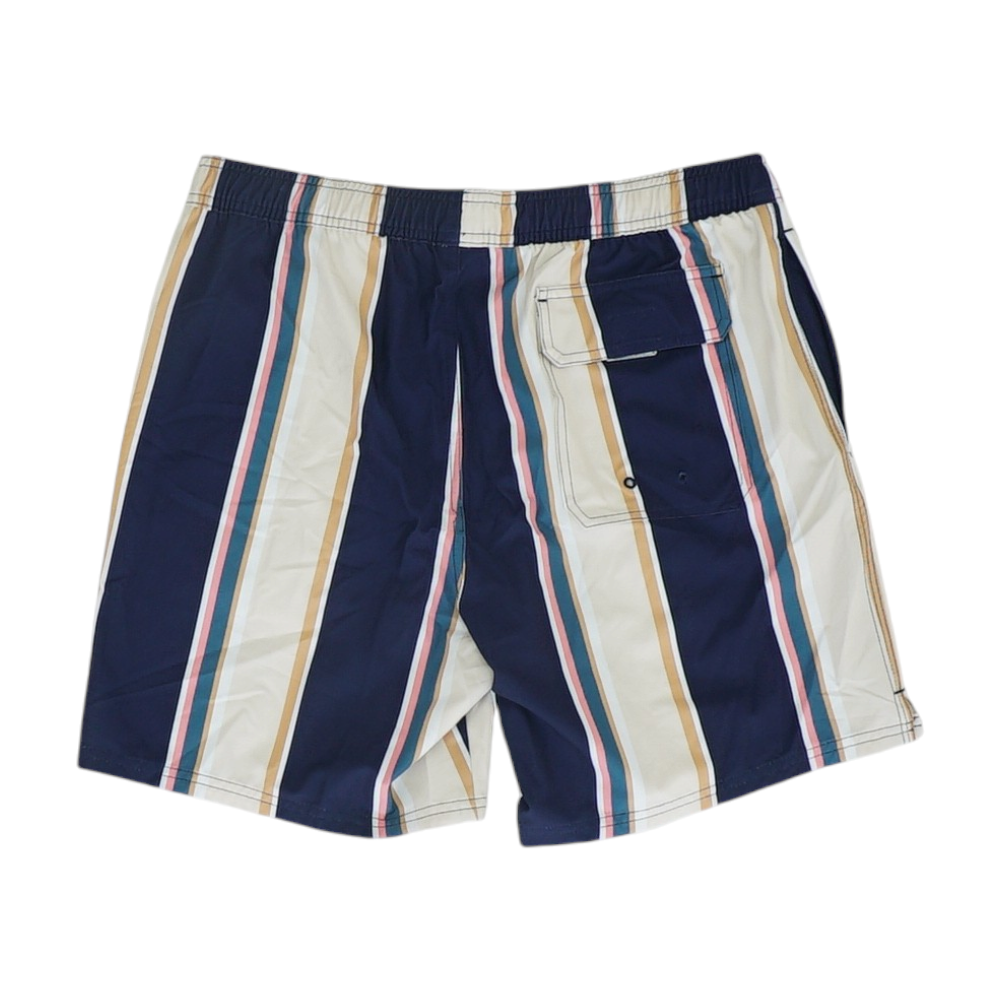 Multi Striped Swim Bottom