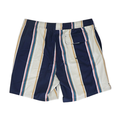 Multi Striped Swim Bottom