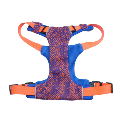 Blue Dog Harness
