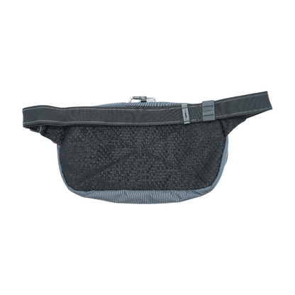 Gray Backpack