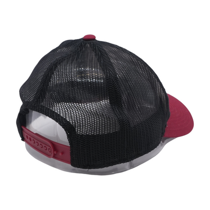 Multi Houston Astros Ballcap