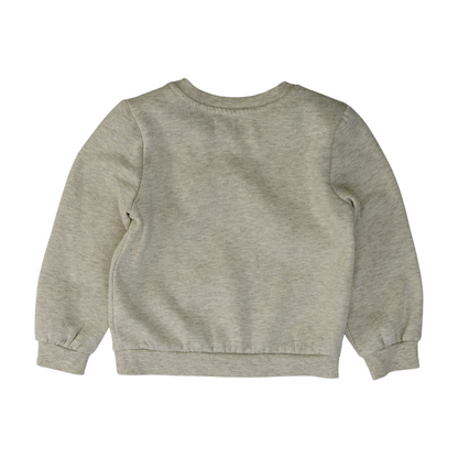 Tan Sweatshirt Pullover