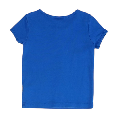Blue Blouse