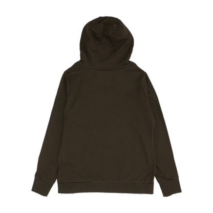 Brown Solid Hoodie Pullover