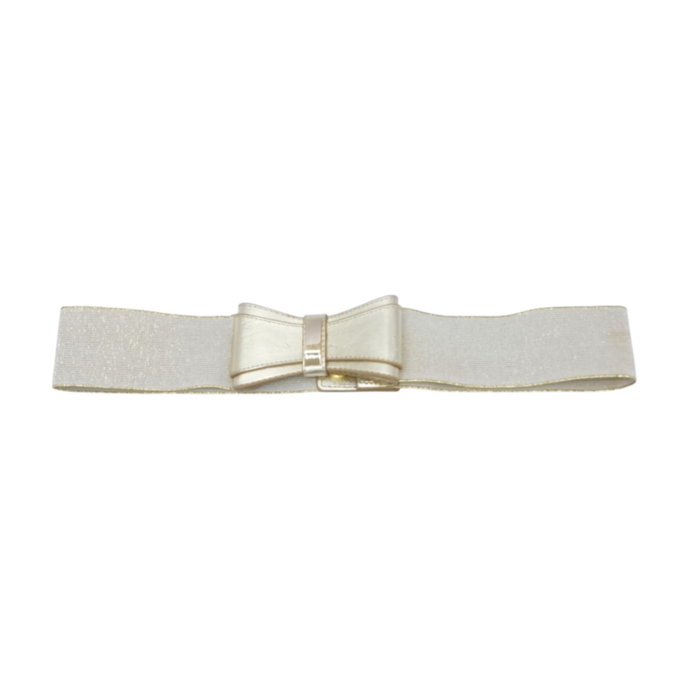 Lilly Pulitzer Gold Fabric Belt – Image 1
