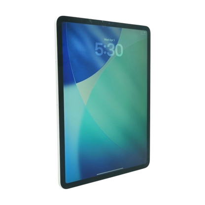 iPad Pro 11.0" Silver 1st 256GB WiFi Tablet