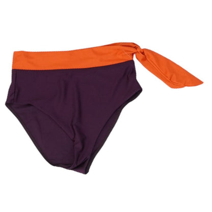 Purple Color Block Swim Bottom