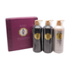 Ki Gold Premium Hair Set