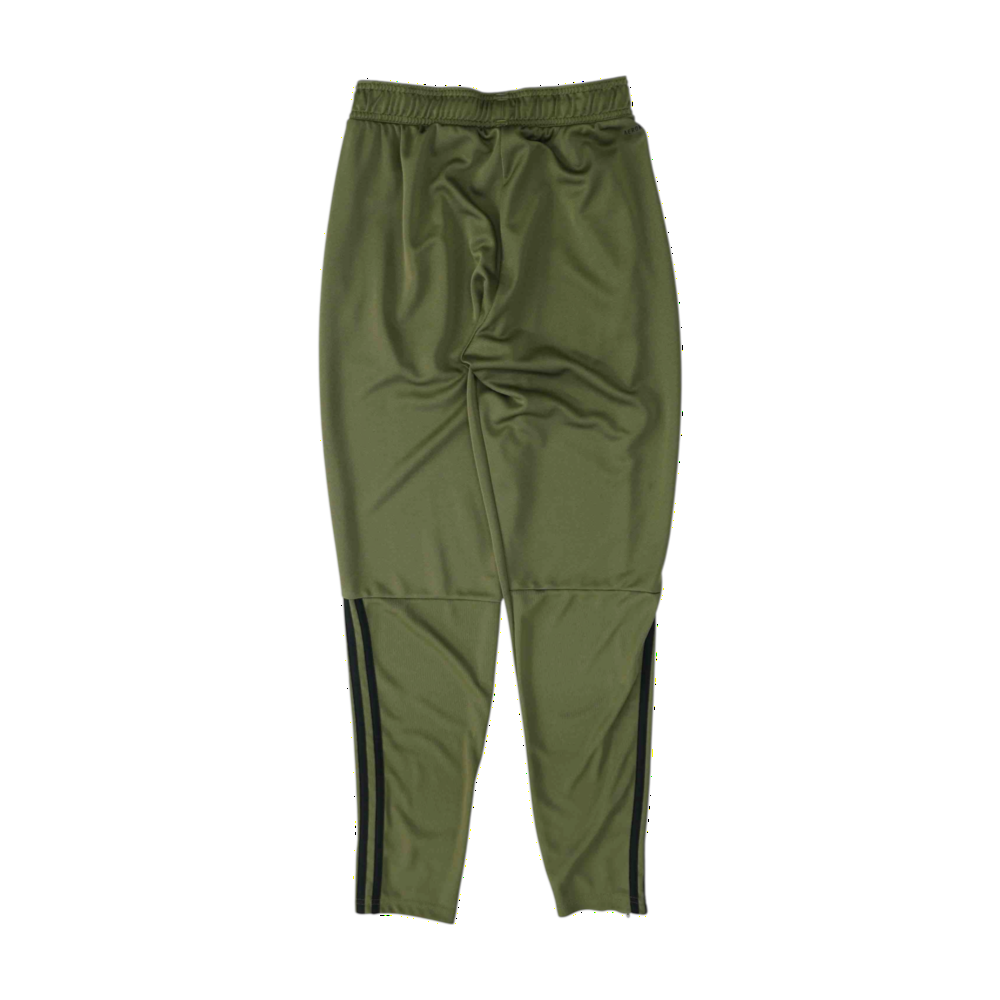 Green Tapered Pants