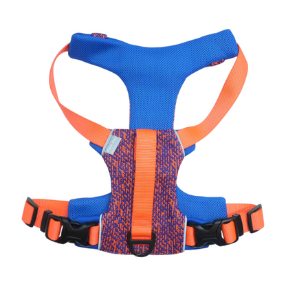 Blue Dog Harness