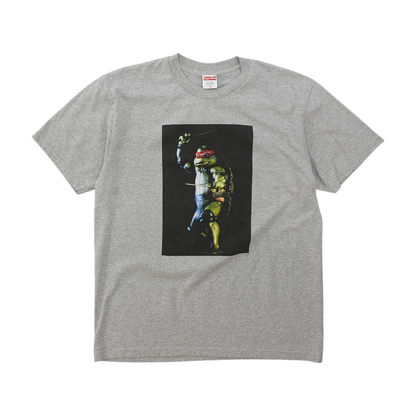Gray Graphic T-Shirt