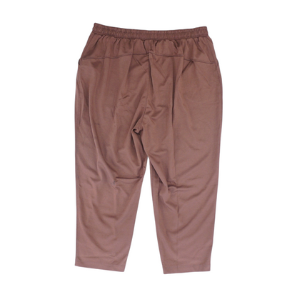 Brown Plus Regular Pants