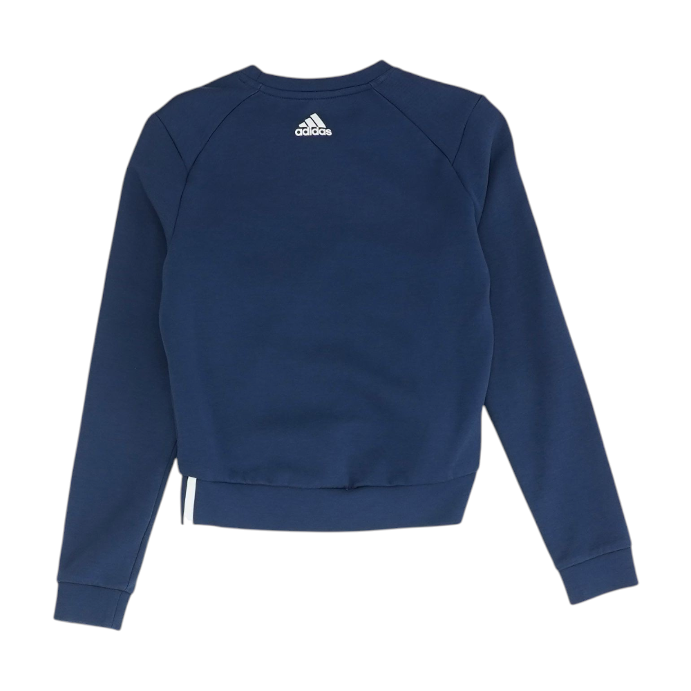Blue Solid Sweatshirt Pullover