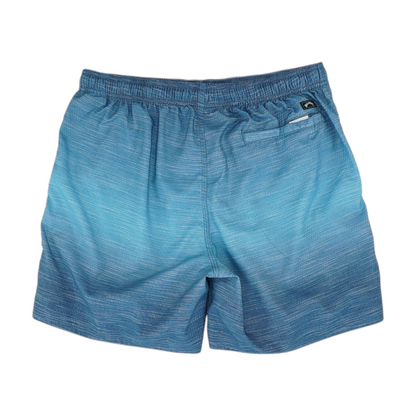 Blue Striped Swim Bottom